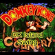 Nintendo Has This Theory About Donkey Kong Music